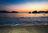 Baby sea turtles at sunset